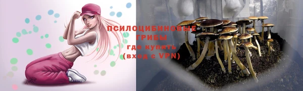 apvp Абинск