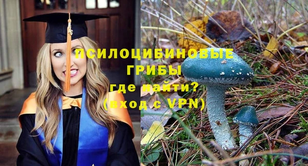 apvp Абинск