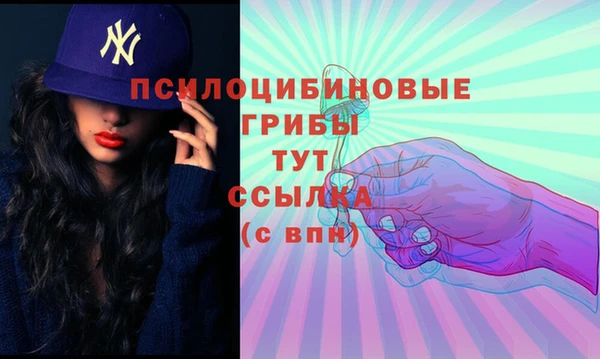 apvp Абинск