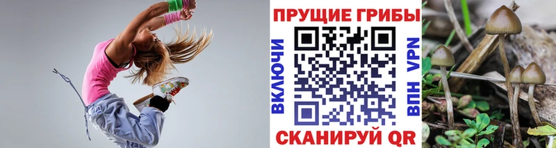 гидра как войти  Звенигород  Псилоцибиновые грибы MAGIC MUSHROOMS 